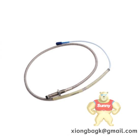 Bently Nevada 330104-00-08-10-01-00