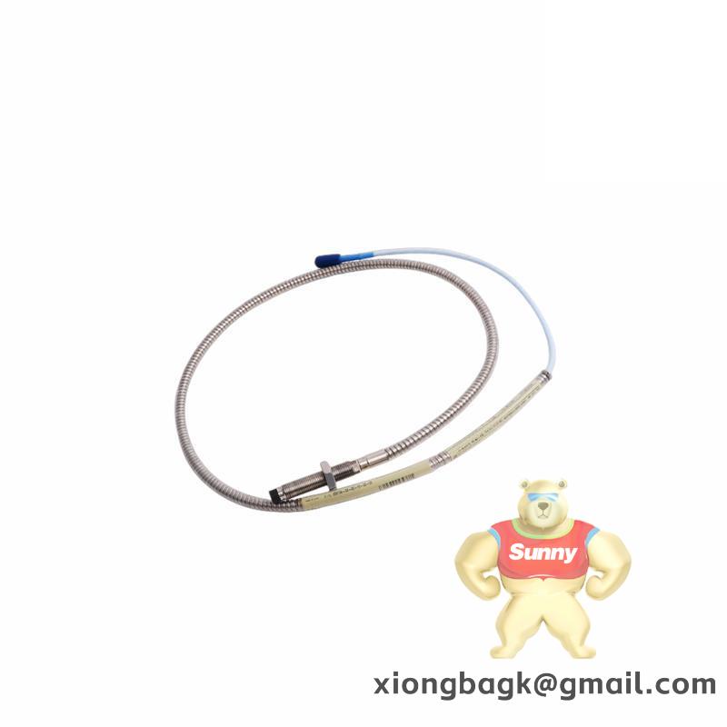 Bently Nevada 330104-00-08-10-01-00