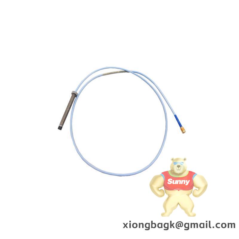 Bently Nevada 330104-10-18-10-01-00