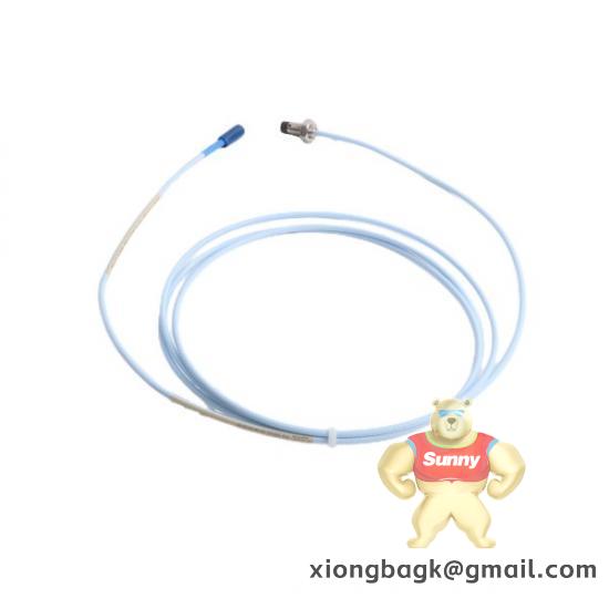 Bently Nevada 330104-10-18-10-01-00