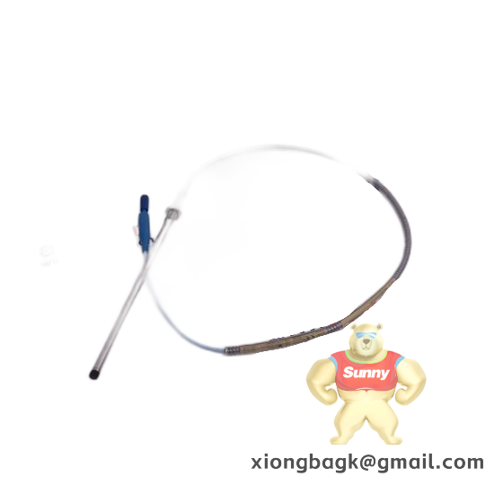 Bently 19000-00-22-18-02