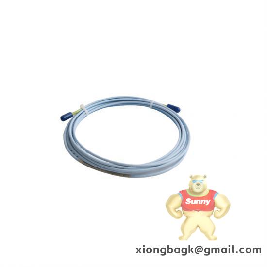 Bently Nevada 330854-040-24-CN