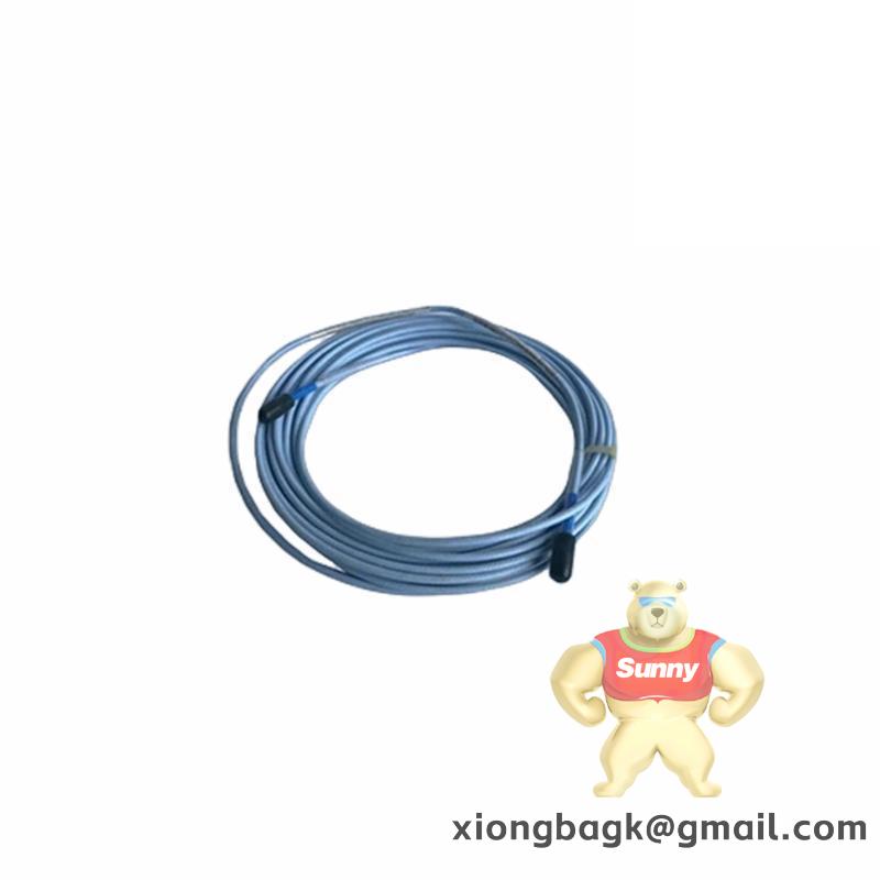 Bently Nevada 330905-06-14-10-02-00