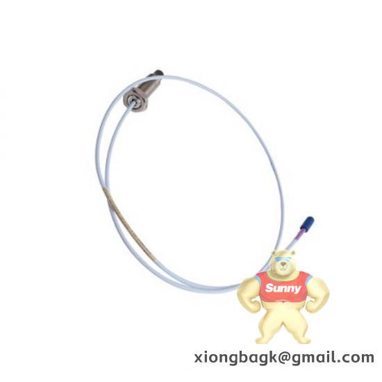 Bently 1900/55-01-01-01-00