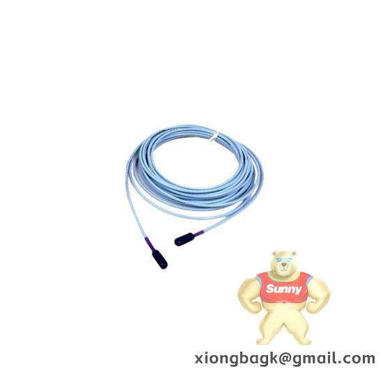 Bently Nevada 330907-05-30-10-10-02-05 3300 NSv