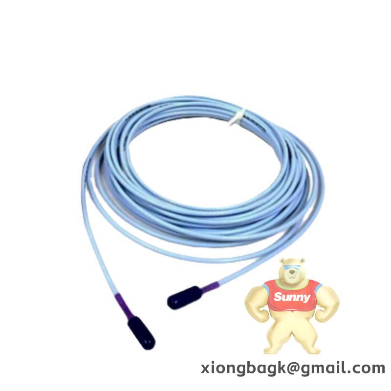 Bently Nevada 330907-05-30-10-10-02-05 3300 NSv