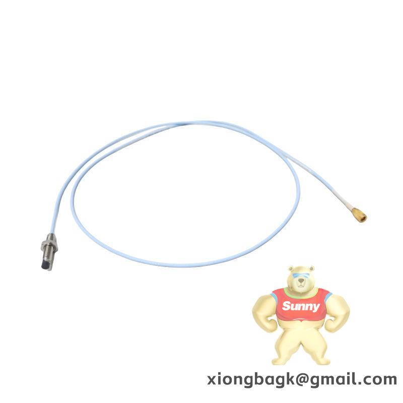 Bently Nevada 330103-AOO-B08-C50-D02-E00