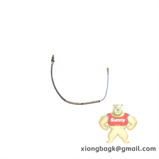 Bently Nevada 330910-10-22-10-01-CN