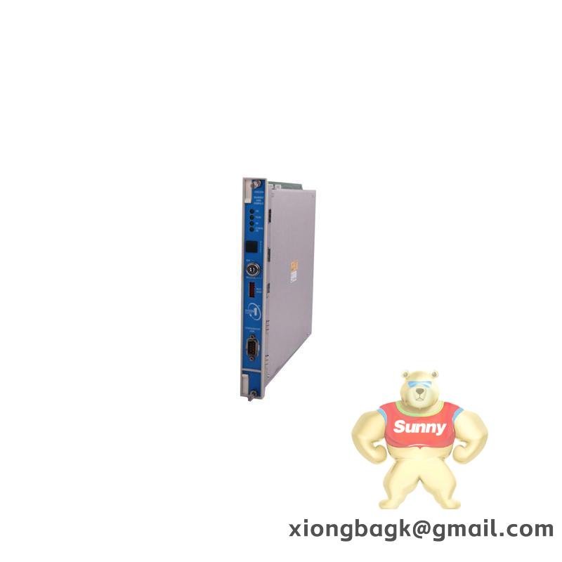 Bently Nevada 3300/20-12-01-03-00-01