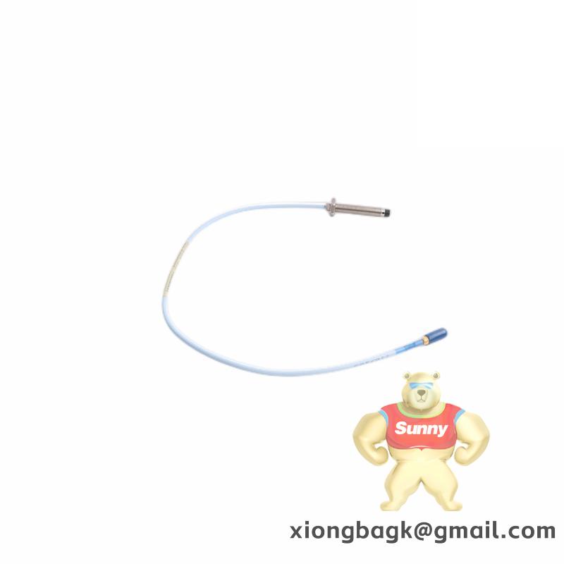 Bently Nevada RS900106-05-30-05-02-00