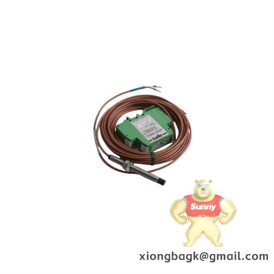 Emerson R2X2N1B1B2T0A