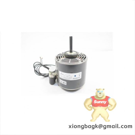 Emerson IC200UDR010-24