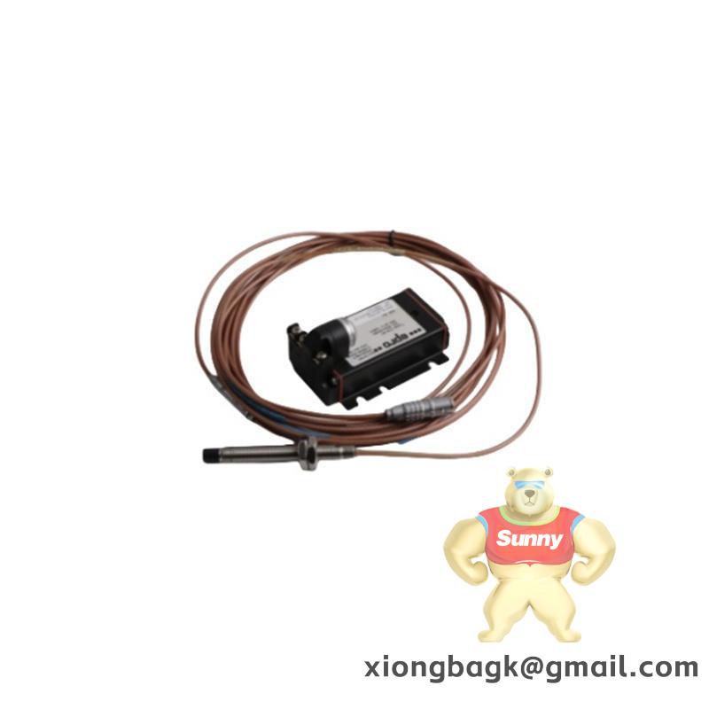 Emerson IC800SLCAPM010