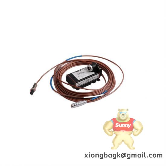 EMERSON PR6426/010-110