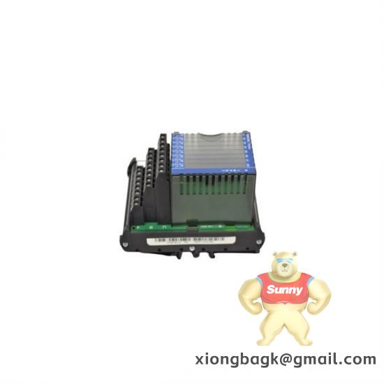 FOXBORO P0700QVFBM20