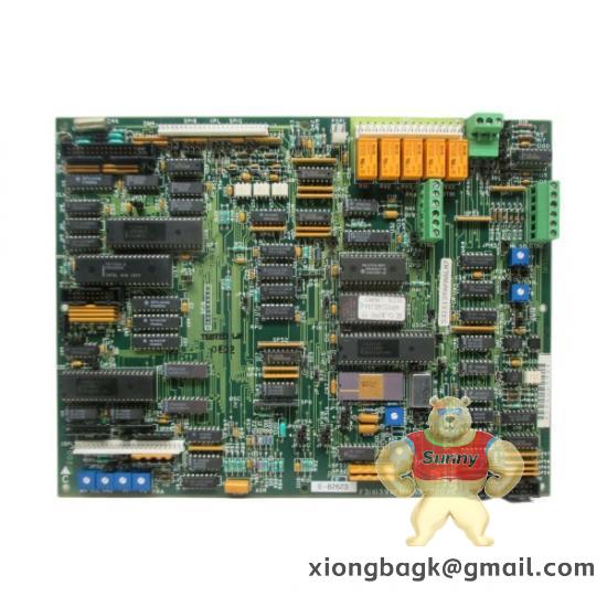 GE Fanuc IC200NAL110