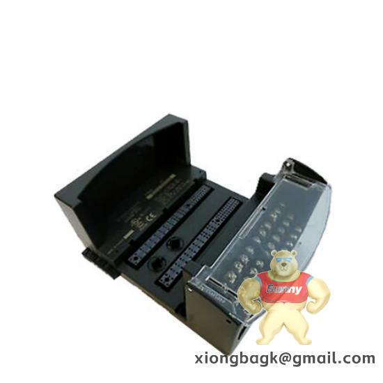 GE IC200CHS001