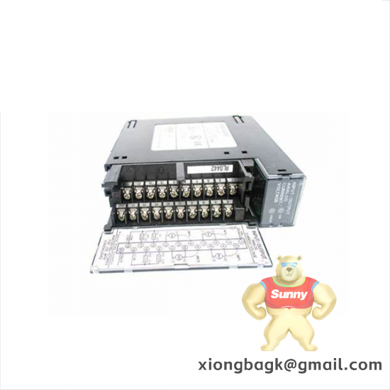 GE Fanuc IC693DSM302-BF