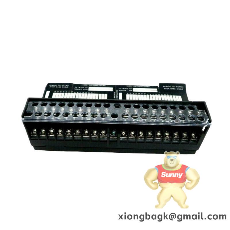 GE IC687RCM711