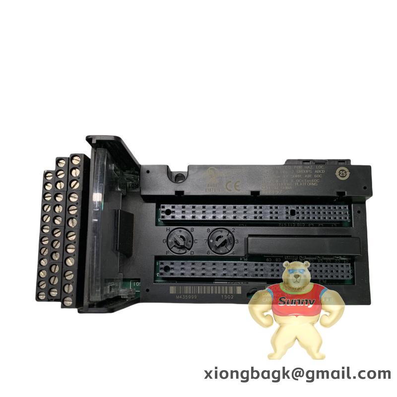 GE Fanuc IC200CHS022L