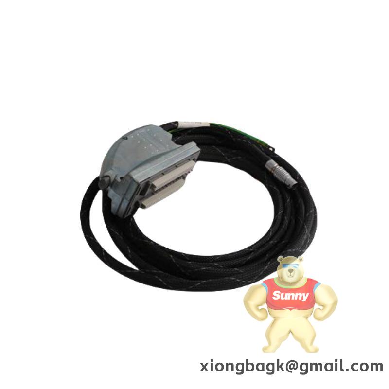 ICS TRIPLEX TC-301-02-2M0