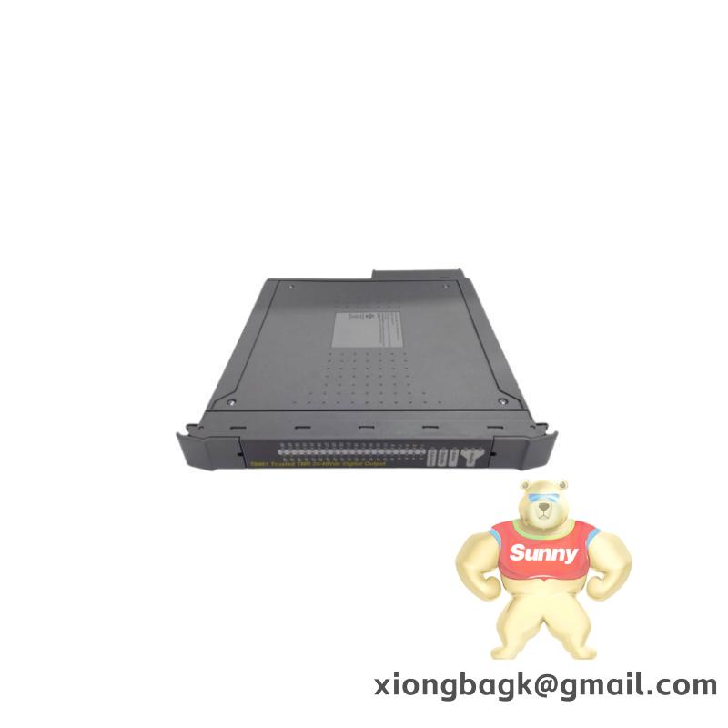 ICS TRIPLEX TC-303-01-2M0
