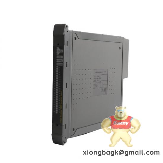 ICS TRIPLEX TC-303-01-2M0