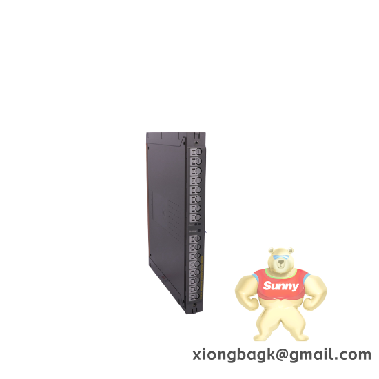 ICS TRIPLEX TC-305-01-5M0