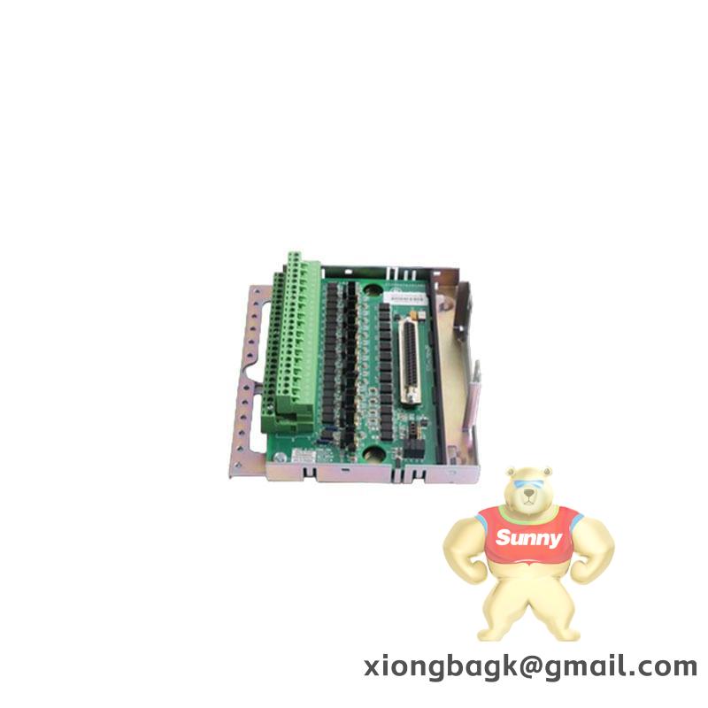 GE IC800SLCPVL100