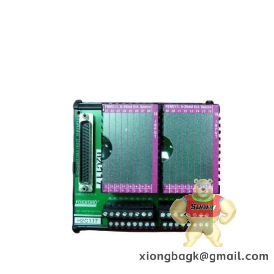 FOXBORO P0916JT FBM211