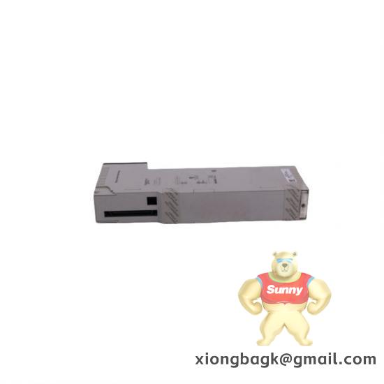 SCHLEICHER UST21