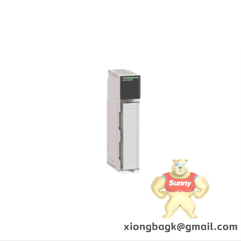 Schneider AS-BSIM-203