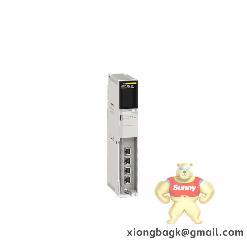 Schneider SH055/80005/0/0/00/00/10/00/00