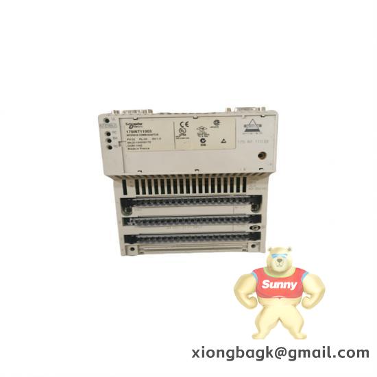 Schneider VDIMNCGR121TB