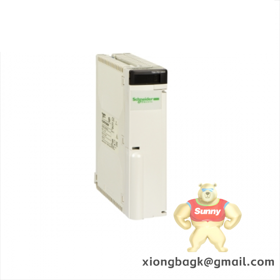 SCHNEIDER AS-BDAP-218