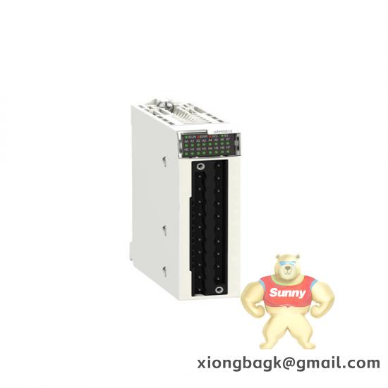 Schneider AS-BSIM-203