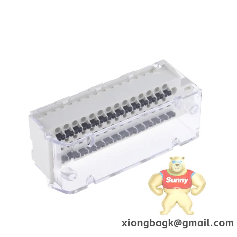 SCHNEIDER SM-070/60/020/P1/45/S1/B0