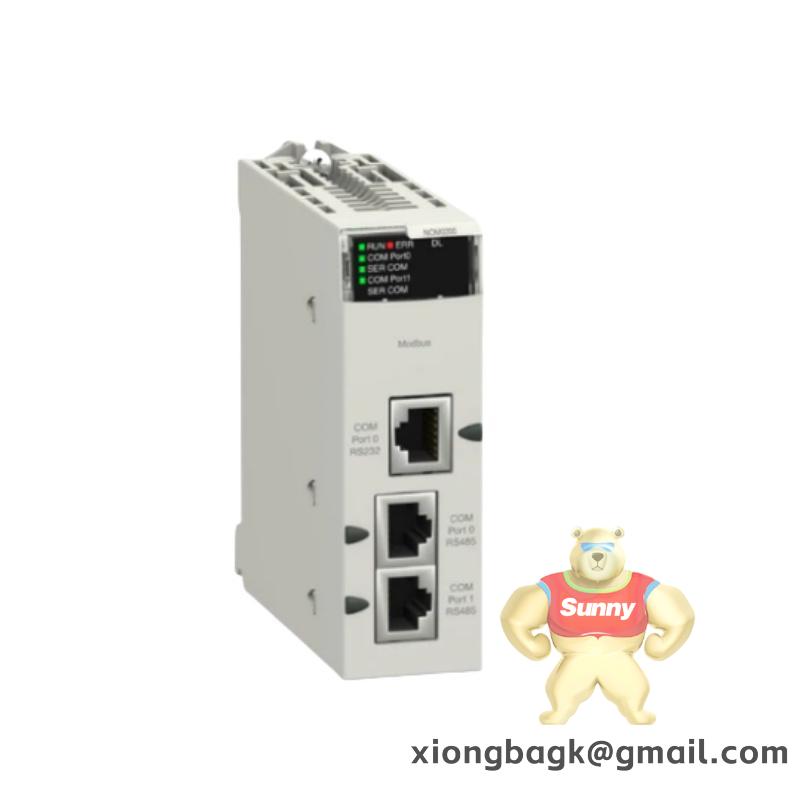 Schneider VDIF991025