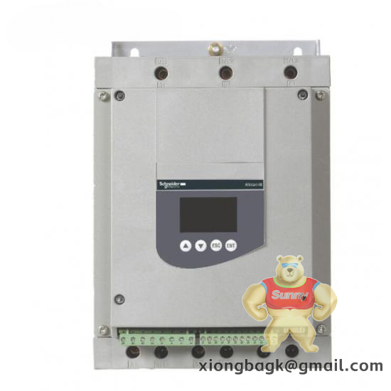 SCHNEIDER BMXAMO0802H