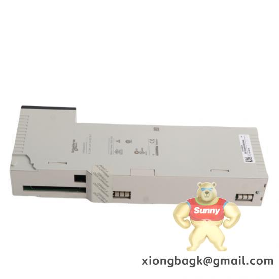 Schneider VDIF1222160