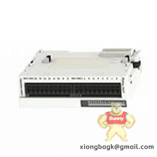 Schneider Electric TM2DRA16RT