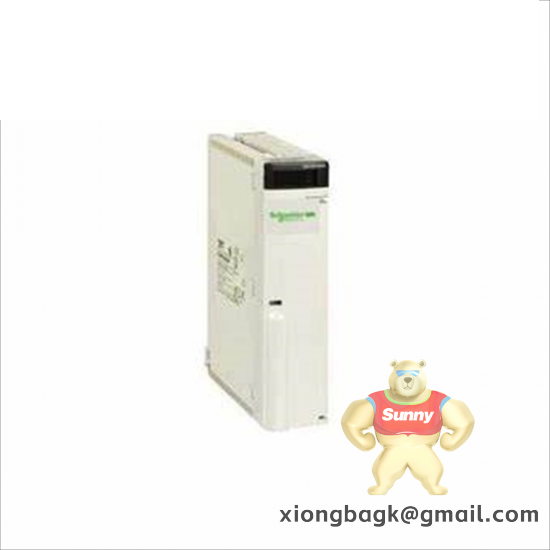 Schneider Electric BMMXDD06402K