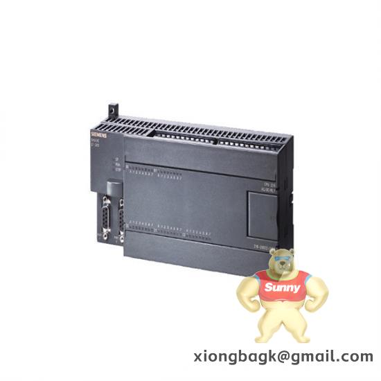 SIEMENS 6DM1001-4WD07