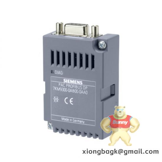 SIEMENS 6DP1616-8CA