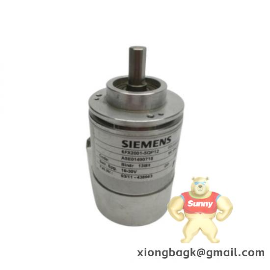 SIEMENS SMP-E217
