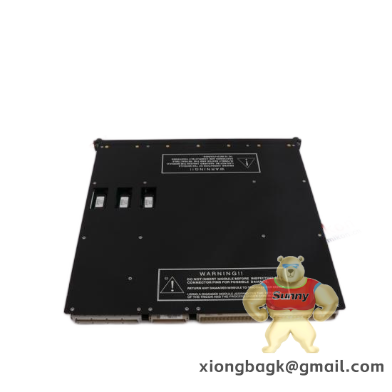 TRICONEX A03B-0819-C060