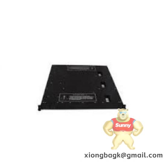 TRICONEX 4000094-313