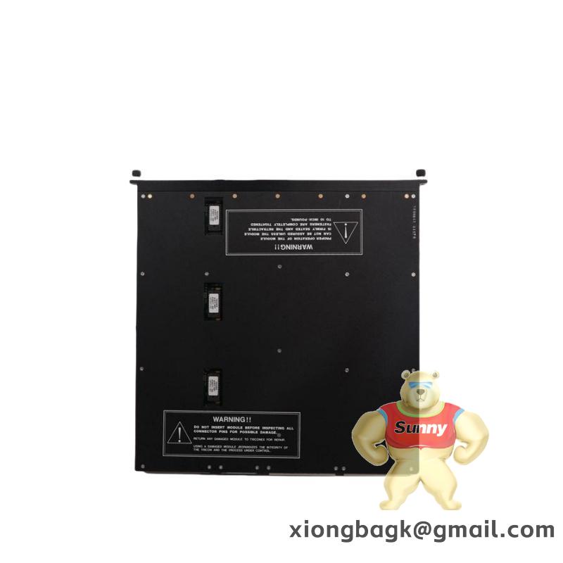 TRICONEX 4000094-313