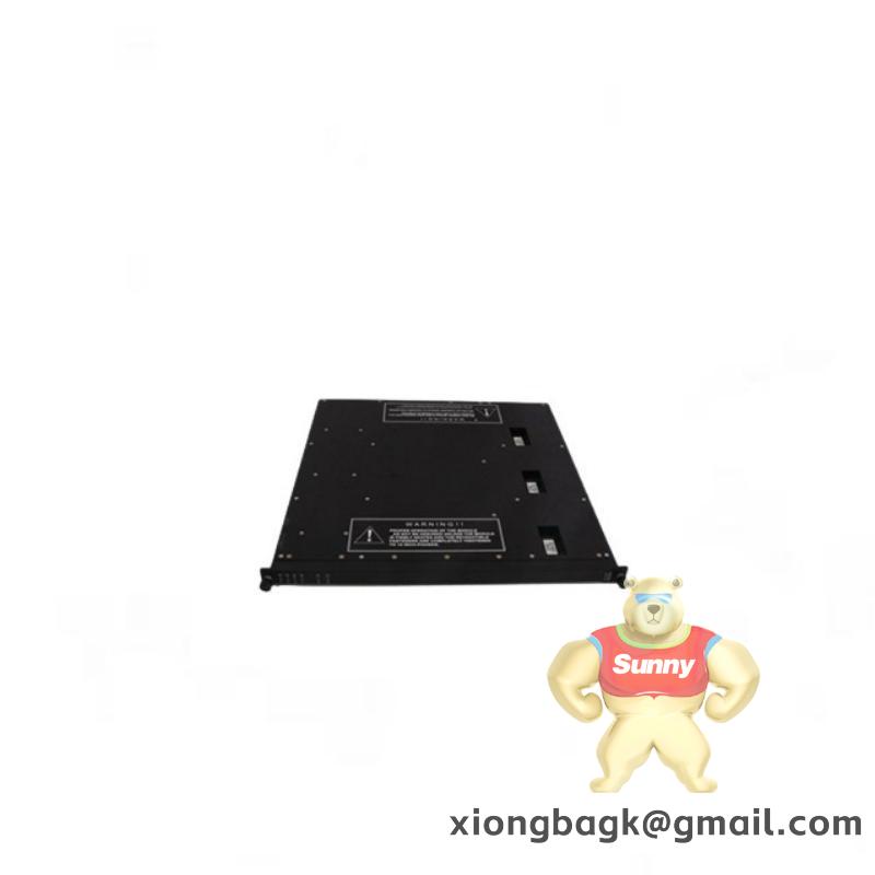 TRICONEX EPI3382 7400221