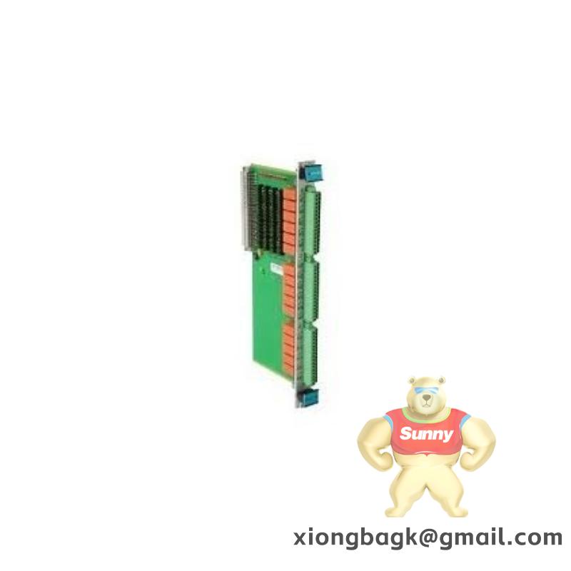 VIBRO-METER VM600 200-510-111-034